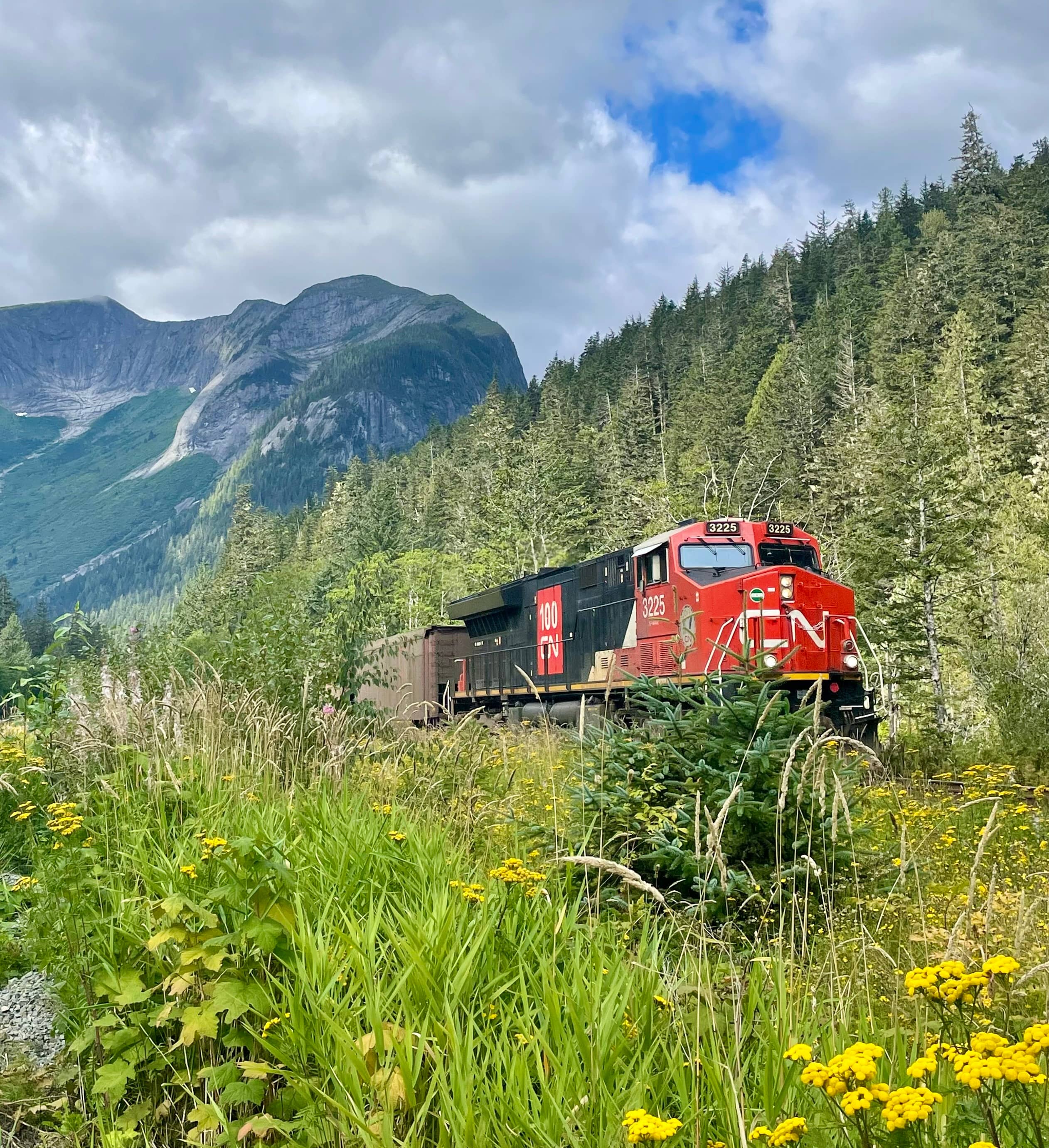 CN rail train on mainland. Photo by Sidney Coles.