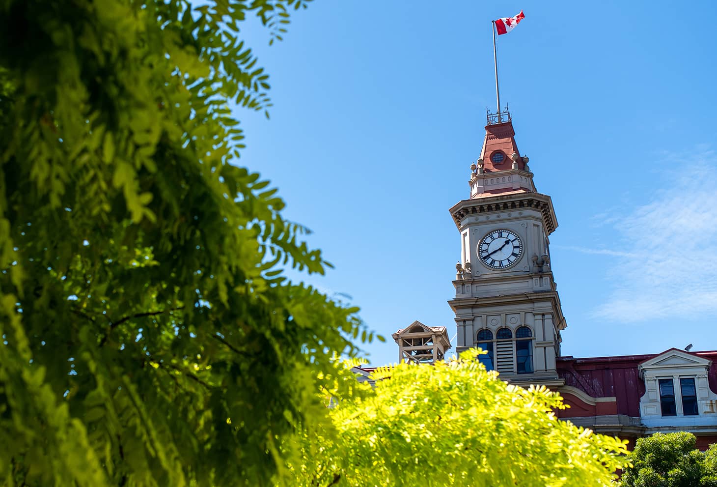 Victoria City Hall. Photo: James MacDonald