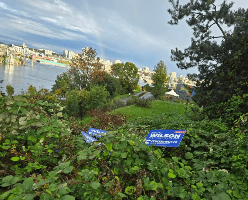 Election signs dumped in the bush. Photo: Wilson campaign team