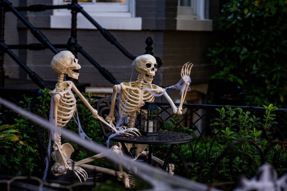 Photo: Shutterstock