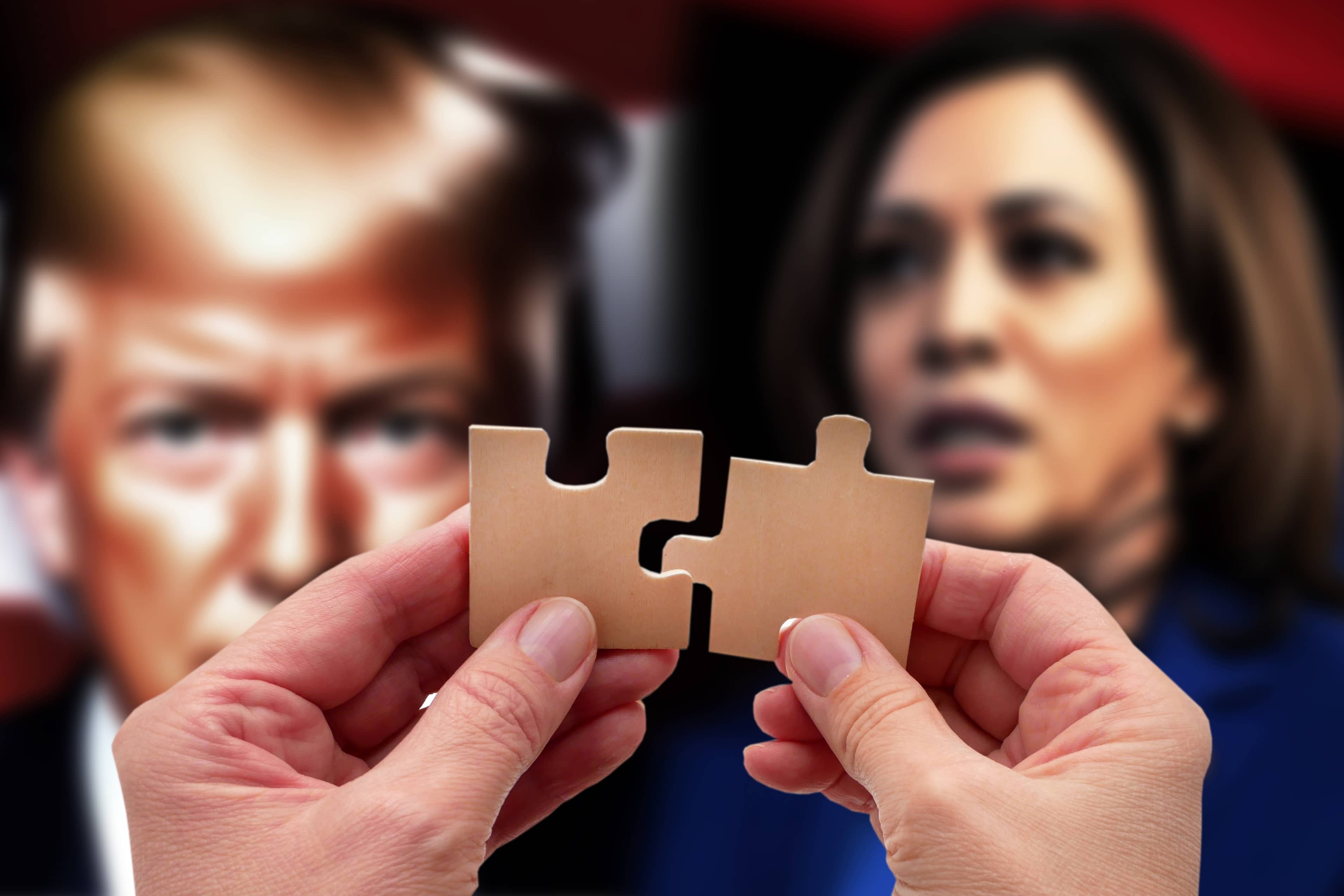 It was announced early Wednesday morning that Donald Trump won the election. Photo: Shutterstock