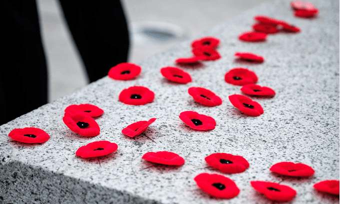 Don't forget to buy and wear your poppy this weekend.
