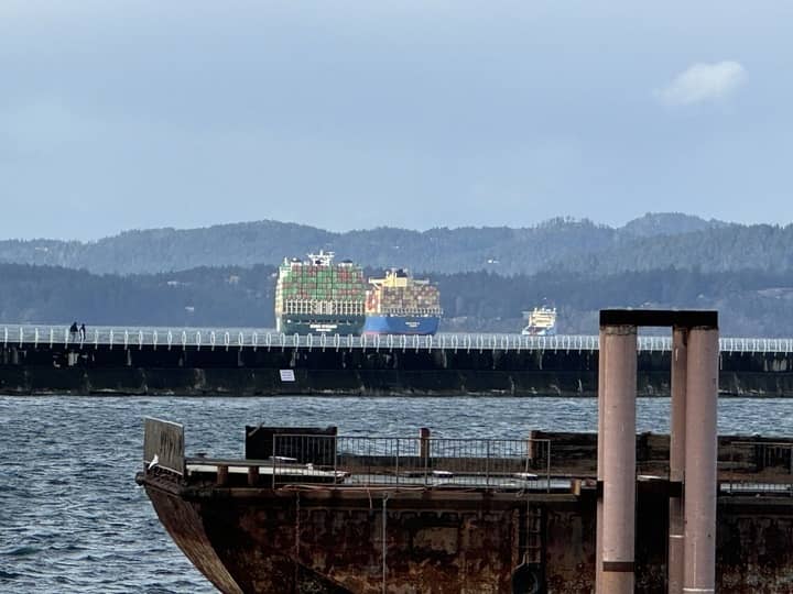 Cargo ships anchored off the coast of Victoria. Photo: Sidney Coles