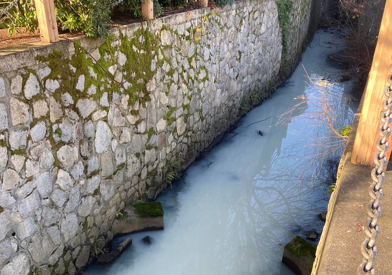 Murky white water in Bowker Creek. Photo: Oak Bay Local / Facebook