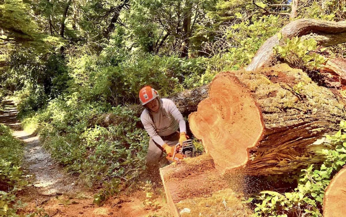 Huu-ay-aht Guardian Kevin Peters clears a tree from the West Coast Trail. This year storm damage left hundreds of downed trees and significant infrastructure damage along the route at the start of the season. Facebook photo / Kevin Peters