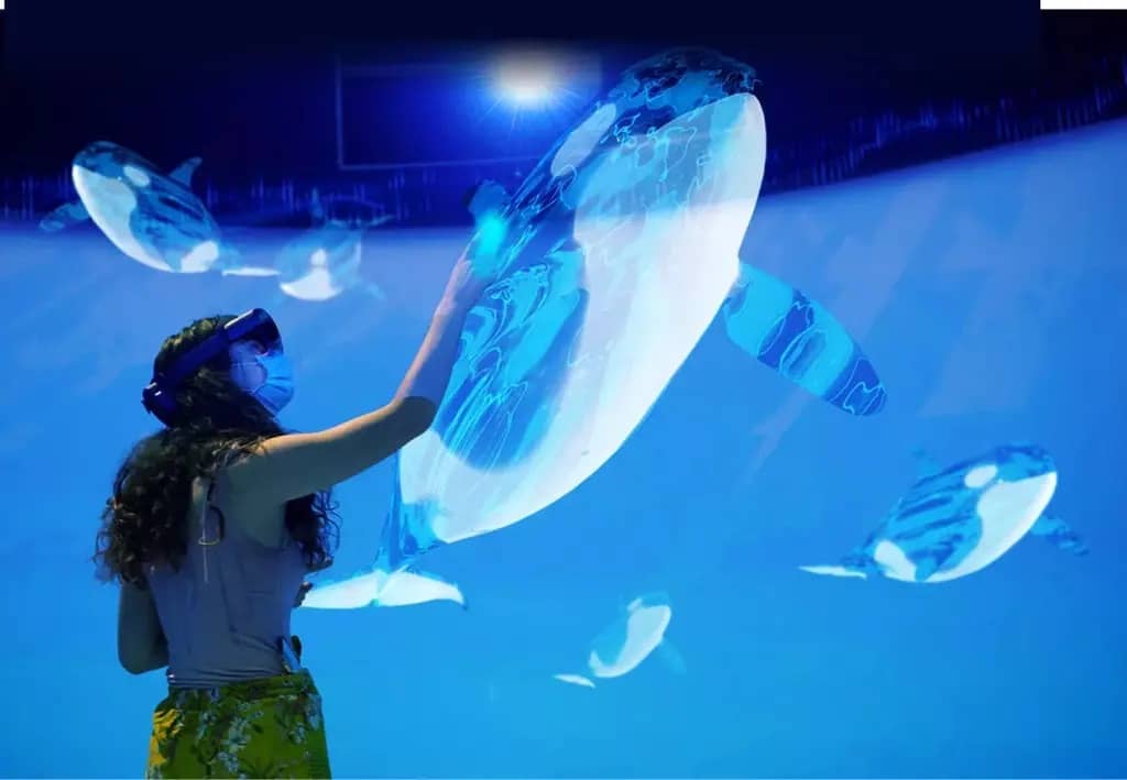 A person sees orcas while using augmented reality. Photo: Ocean Week Victoria