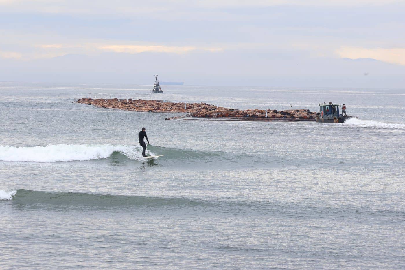 Surfers relish a friendly, early February session on the Jordan River as a log boom is towed, destined for the Fraser River. Photo: Nora O’Malley, Local Journalism Initiative Reporter.